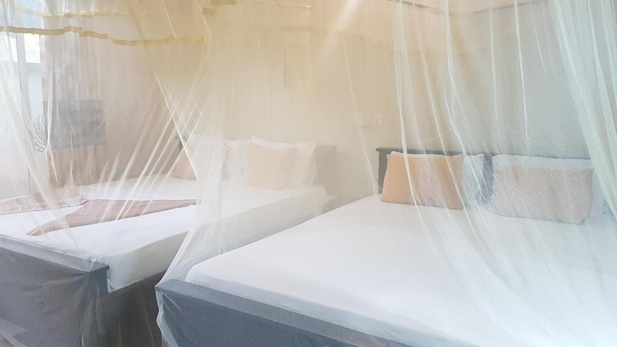 Pinki Nest Hotel Mirissa Kültér fotó